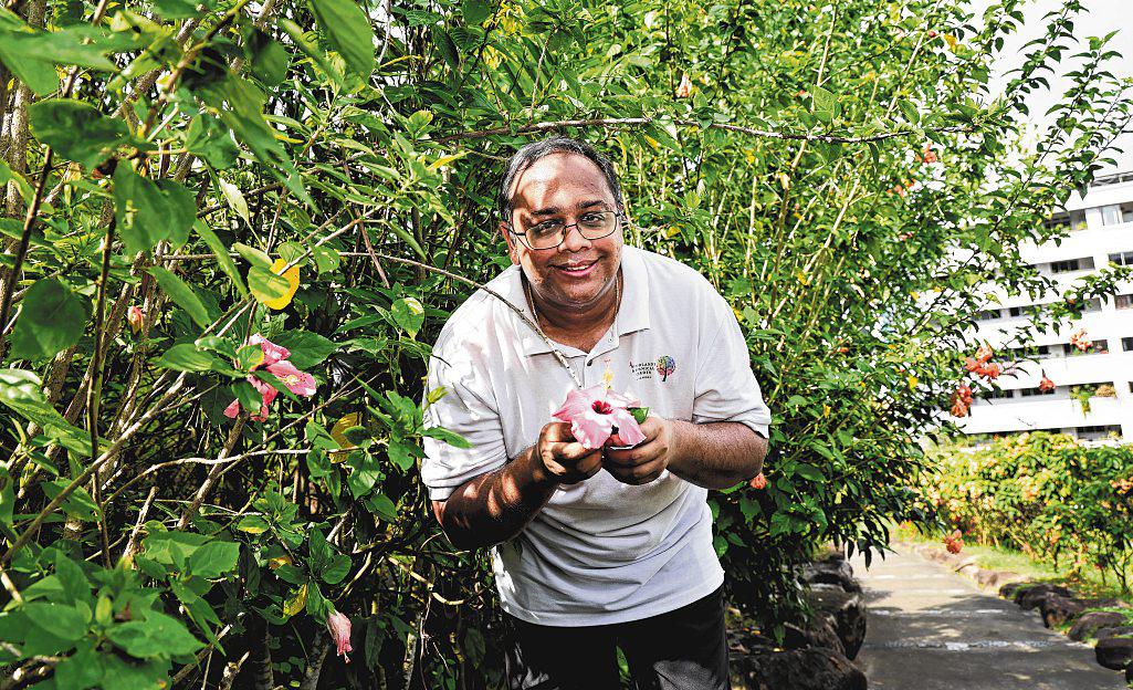 He helps turn barren hill in Woodlands into a garden for all