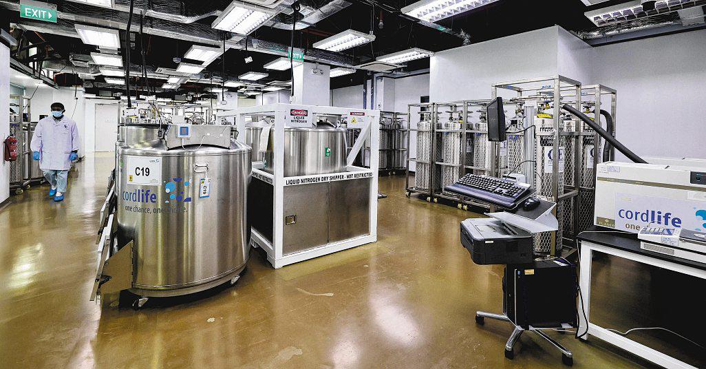 Cordlife not allowed to collect, test, process and store new cord blood