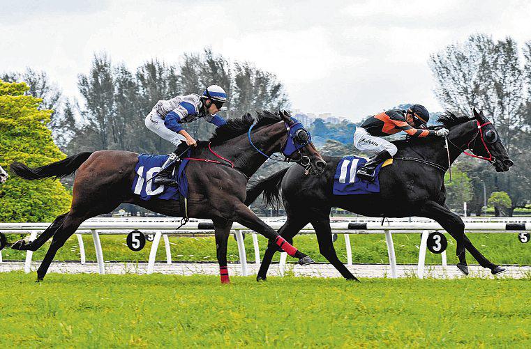 DESI MASTER HAS MADE HEADWAY AT TRACKWORK