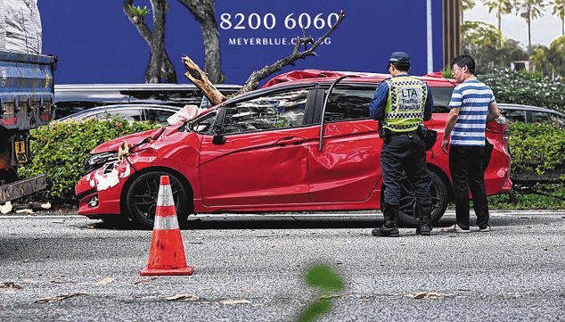 3 taken to hospital after large tree branch falls on cars on ECP