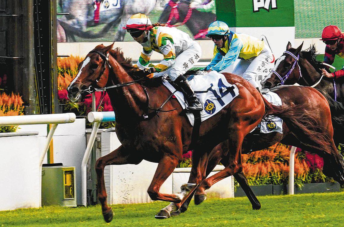 SAGACIOUS LIFE SET FOR TWO-IN-A-ROW