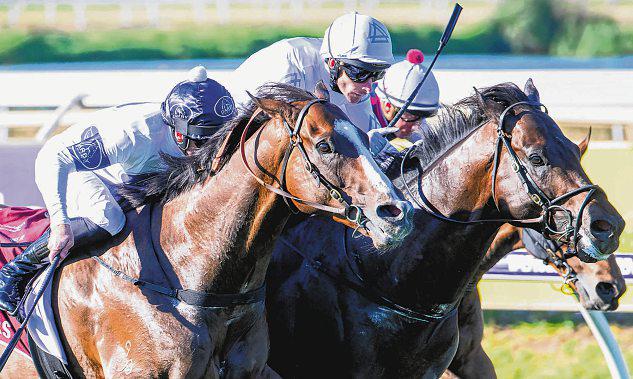 LIBERTAD ROCKS WINTERBOTTOM