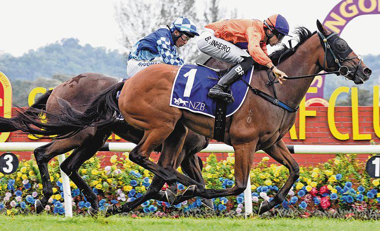 ANTIPODEAN LOOKS SET TO GO ONE BETTER