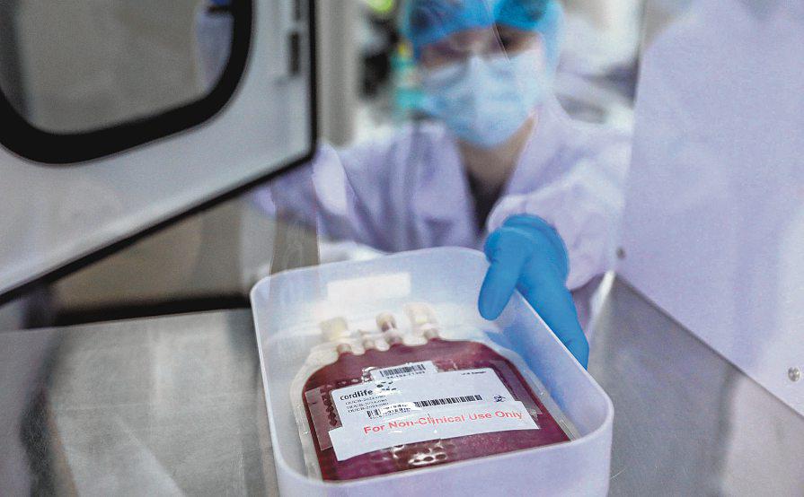 Cordlife faces civil claims of at least $5.45m over improperly stored cord blood