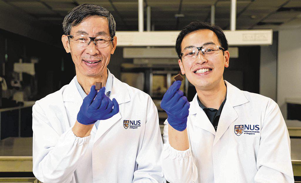 NUS scientists make caffeine-free 'chocolate' with non-cocoa plant