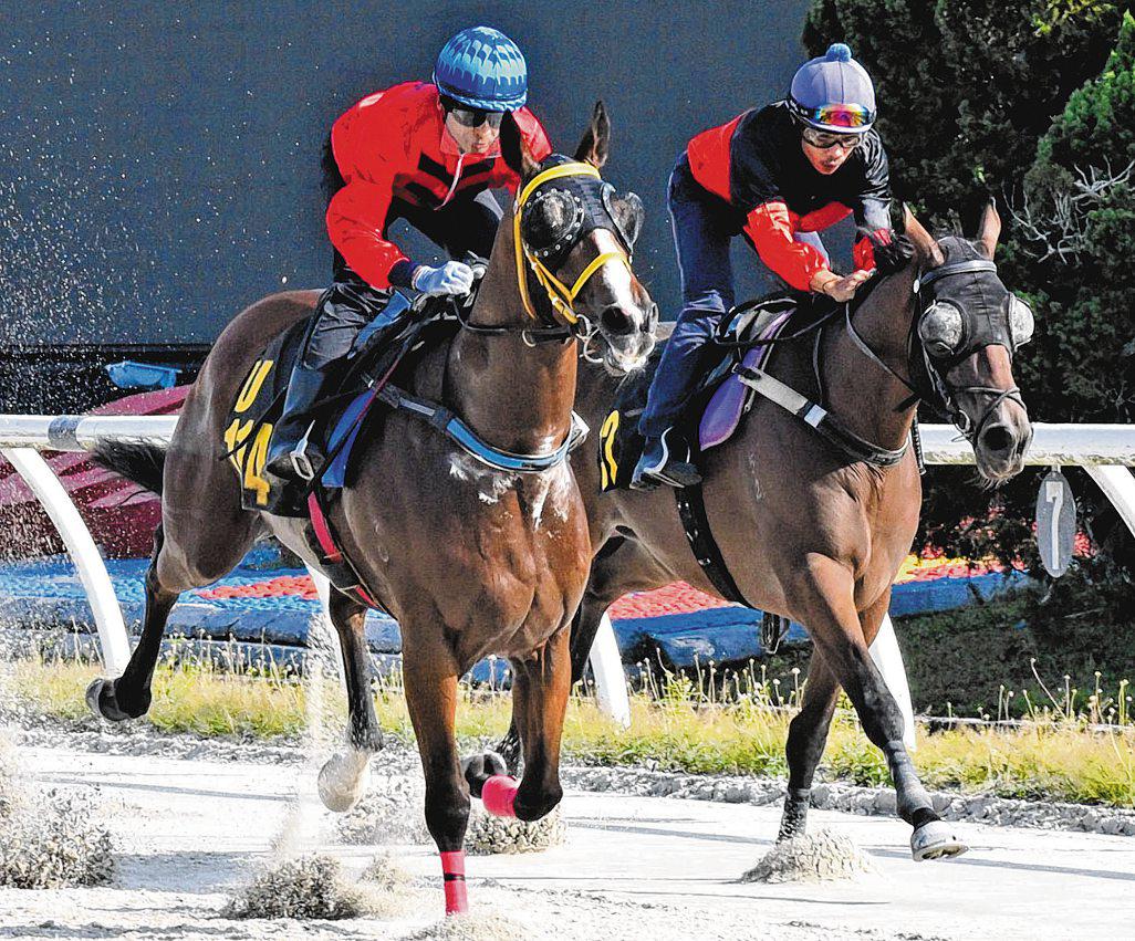 KIM EMPIRE IN SPLENDID FORM