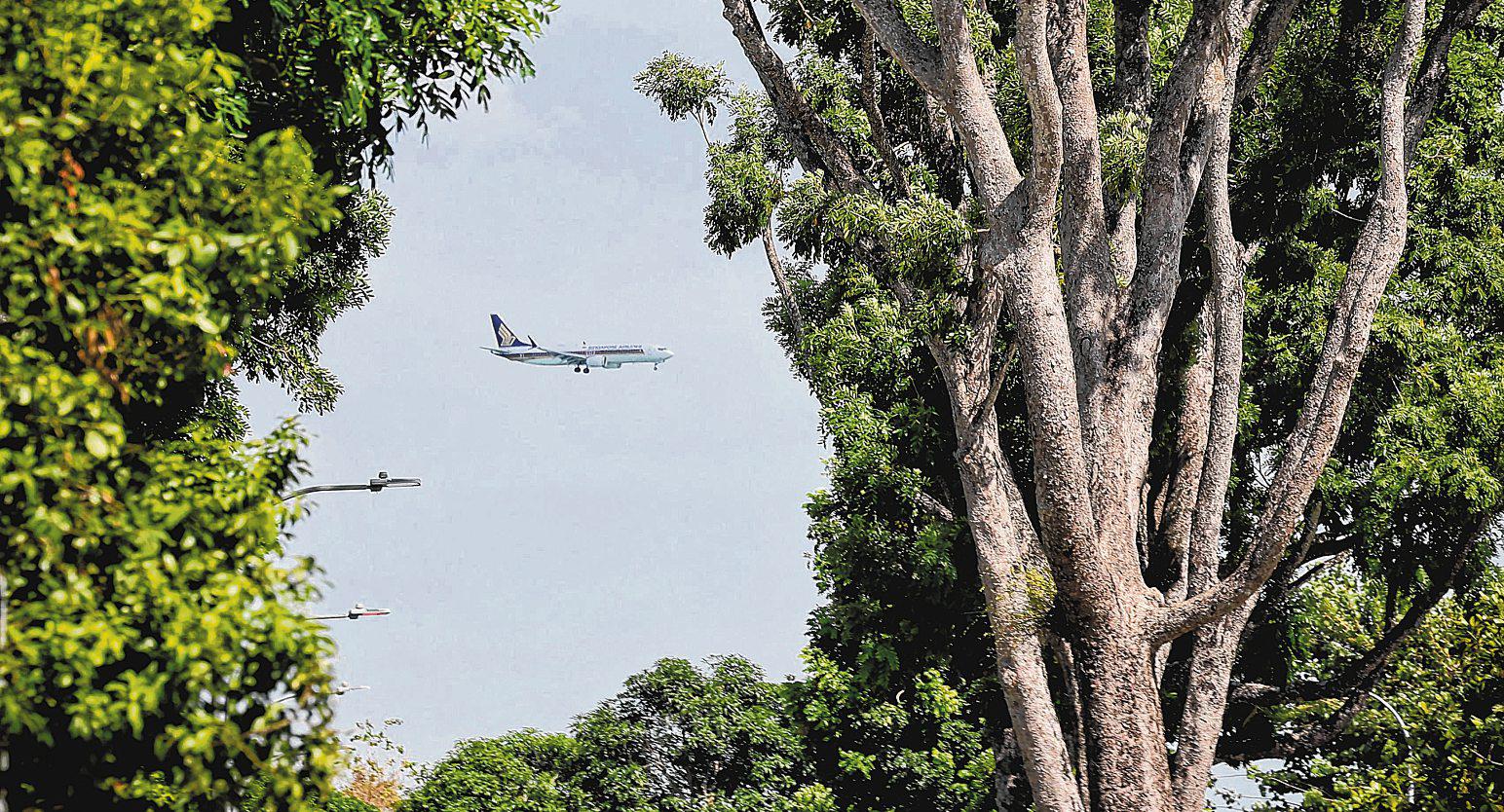 Singapore's green levy on flights is a world first. Will others follow?