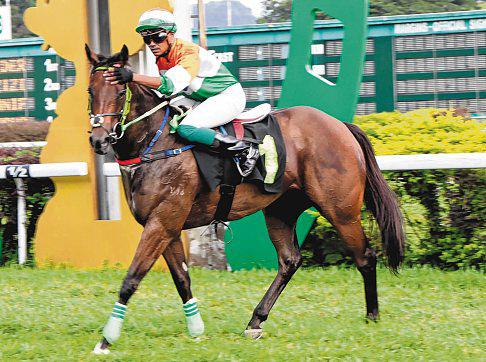 Baby Boss is showing great progress on training track