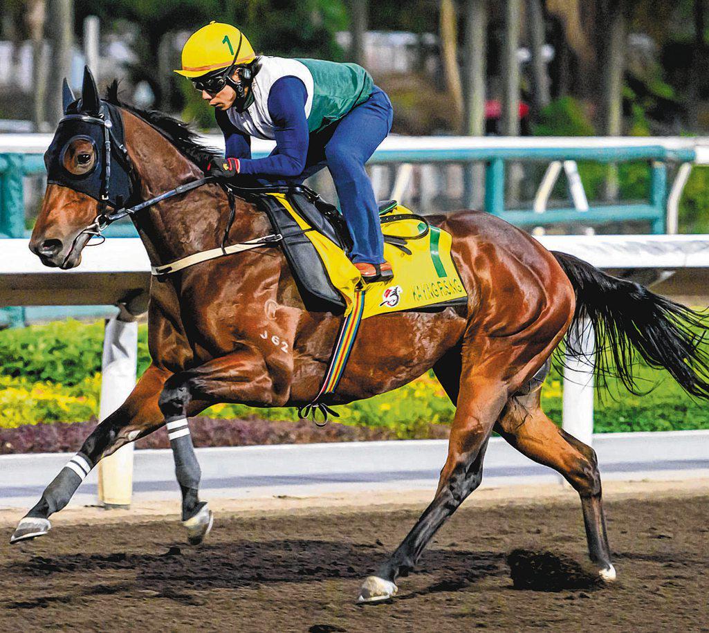BARRIER 'BLOOPER' IS ONLY RISING CONCERN FOR HONG KONG CHAMP