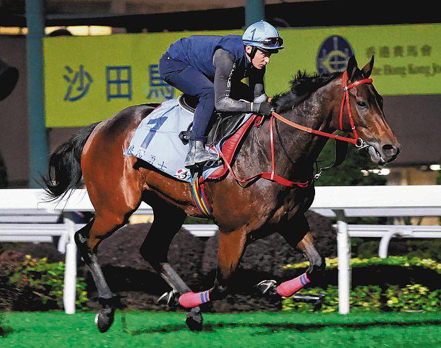 ROMANTIC WARRIOR STANDS OUT