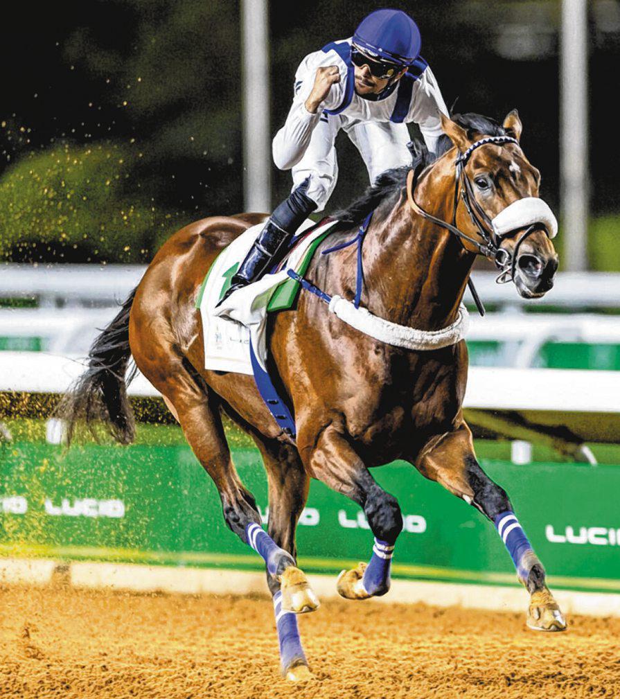 SCOTLAND YARD TO RETURN IN JCSA CUP