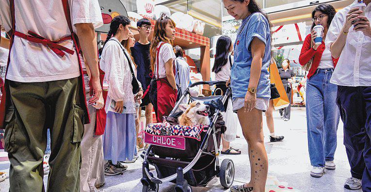 Malaysian mall scraps pet-friendly policy after uproar