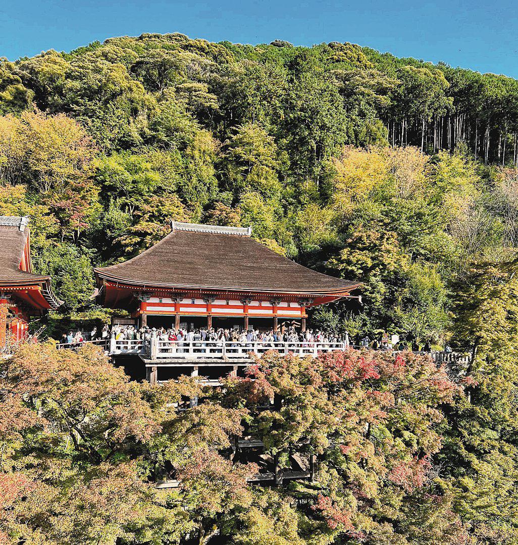 Is Japan overrated as a tourist destination?