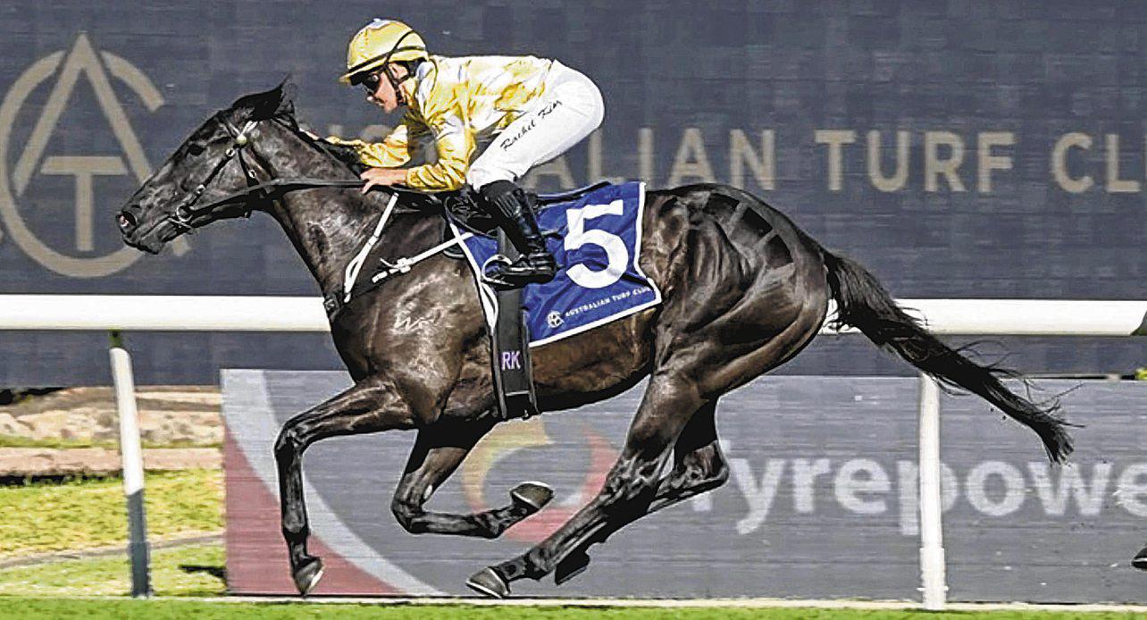 TULLOCH LODGE PAIR HUGE CHANCE IN G3 SUMMER CUP