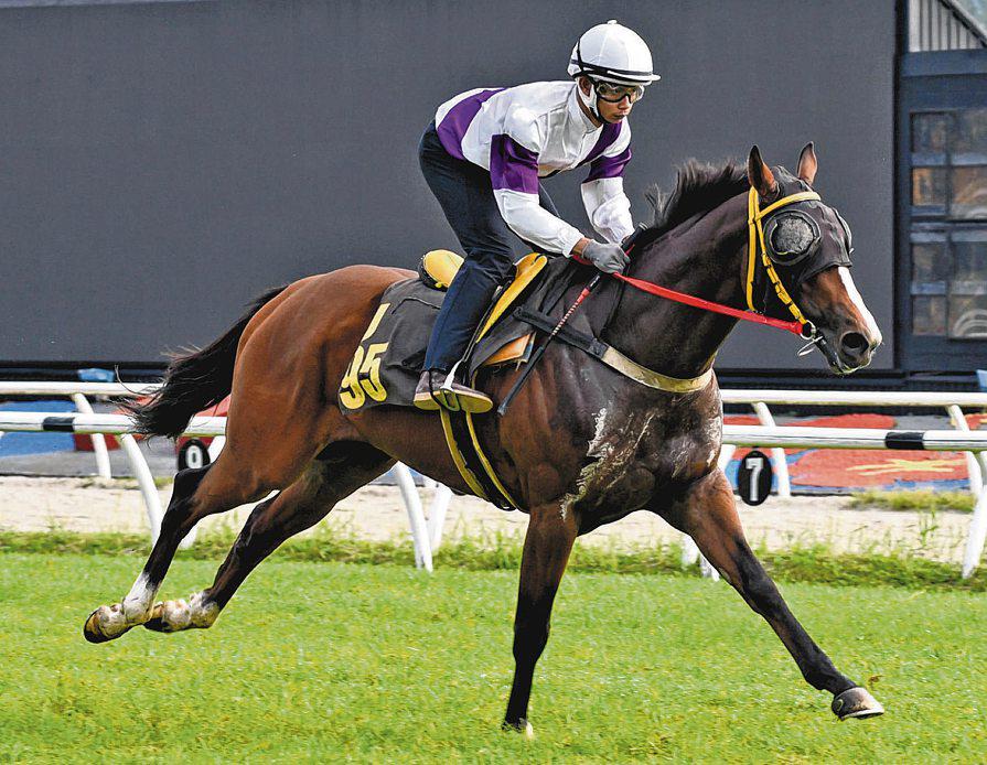 SLOW TRIALS BUT TOP SHOWINGS