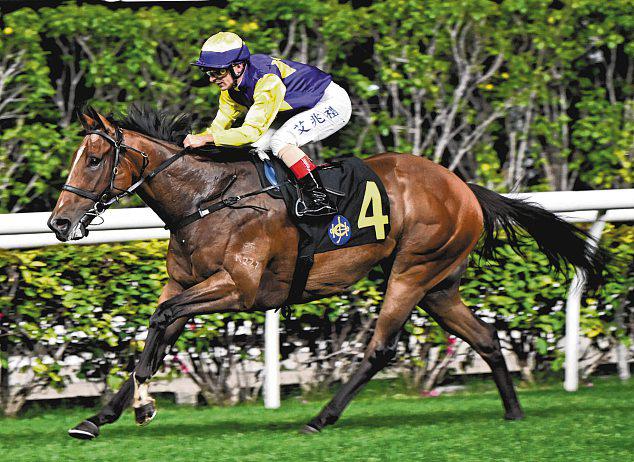 COLOURFUL KING TO RULE AGAIN