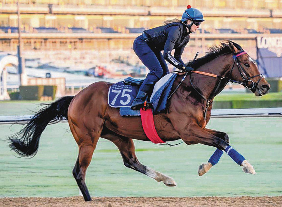 LORD NORTH IS RIGHT ON FLIGHT PLAN PATH AT MAIDEN DUBAI TRIP
