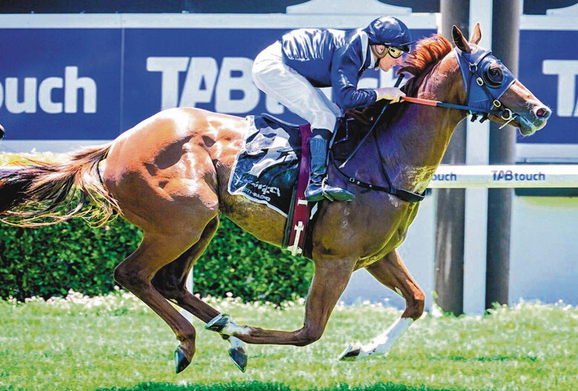ANOTHER WIN FOR WESTERN ACE ON THE CARDS IN SOFT 3YO RACE