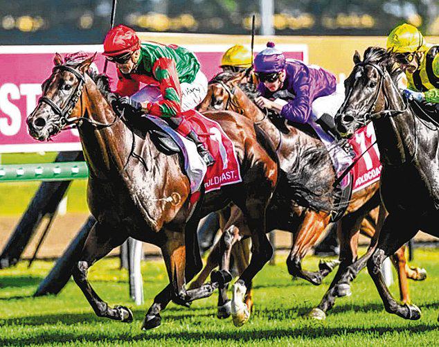 Team Munce all Zipped and ready for Magic Millions