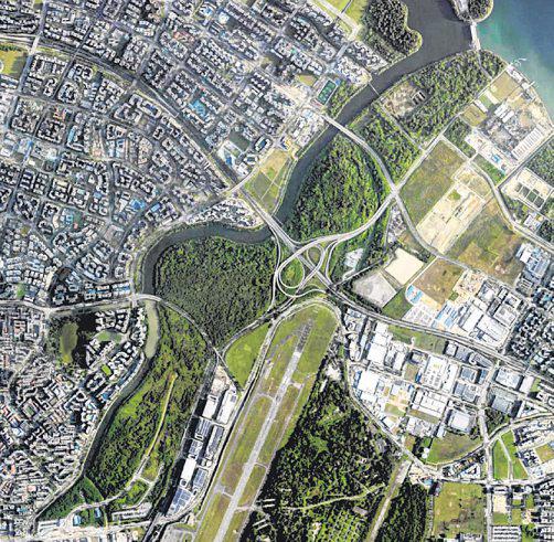 Plans for more vegetation in Serangoon River forest under review | The  Straits Times - newspaper - Read this story on Magzter.com