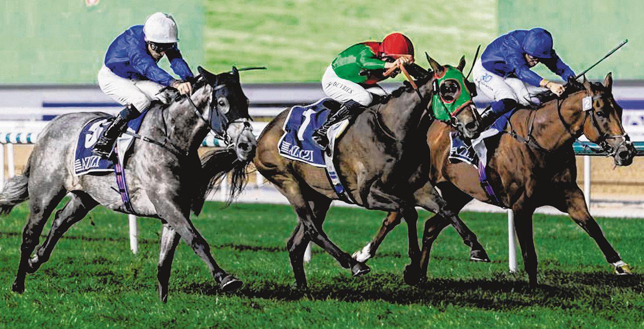 GODOLPHIN NETS 6TH CAPE VERDI WITH DUBAI BEACH