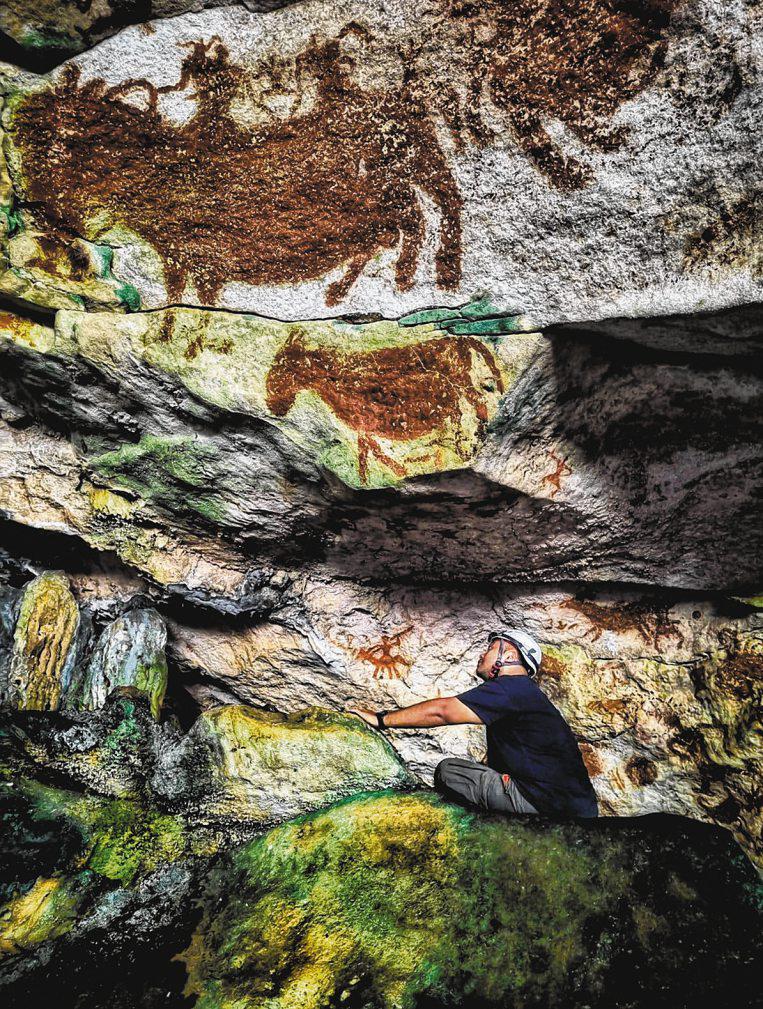 World's oldest cave art discovered in Indonesia