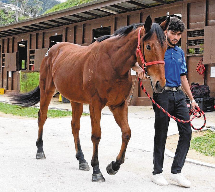 FIRST M'SIAN DIGITAL SALE MARKS NEW ERA FOR REGIONAL RACING