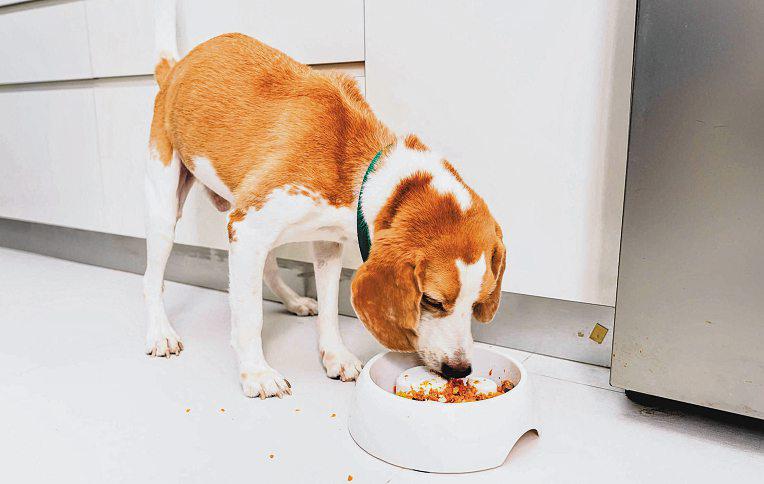 Decode pet food labels, nutritional claims