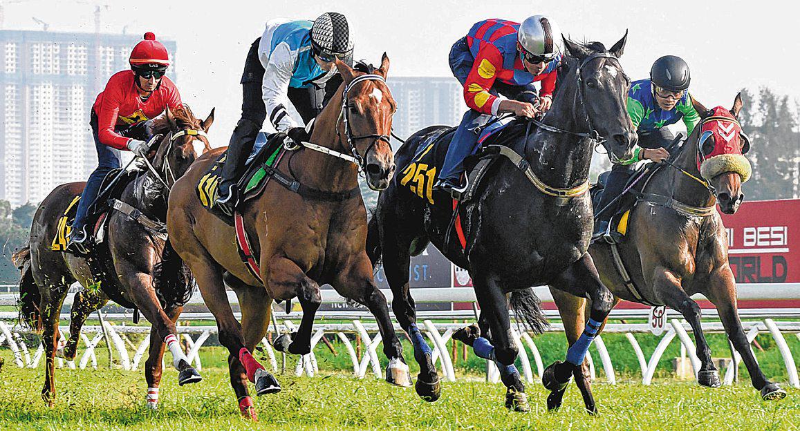 FORTUNE RISING LEAVES SMART IMPRESSION AT BARRIER TRIALS