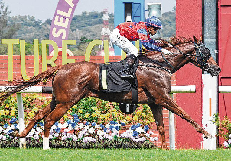 Artois UP FOR ANOTHER ROUND