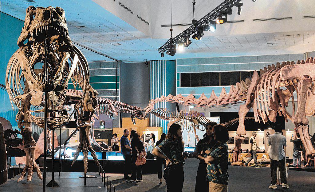 Dino Disco to kick off Science Centre's after-hours programmes