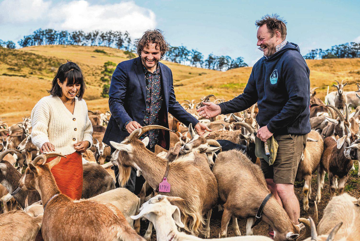 TASMANIA'S TREATS