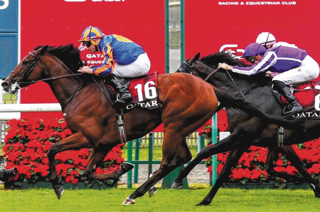 COOLMORE DUO TO CLASH AGAIN