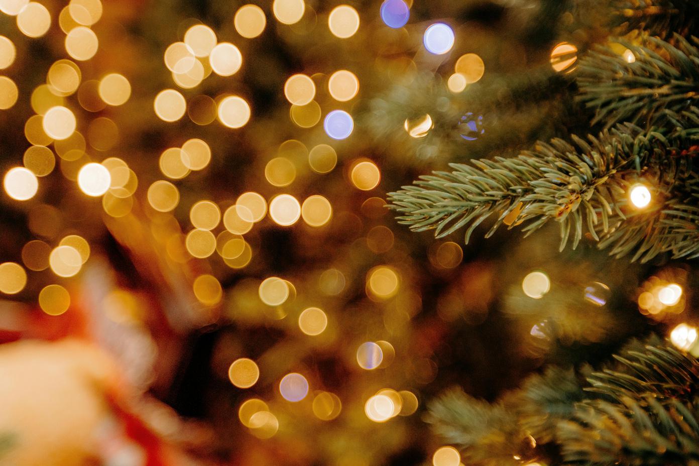 December Insights: Closing the Year With Intention