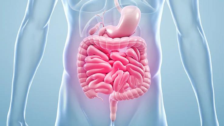 Gut Microbiome & Health: 5 Ways to Stay Healthy