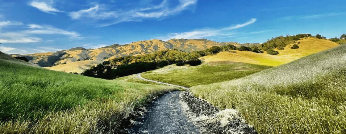 A Journey through Tri-Valley's Charming Town of Danville