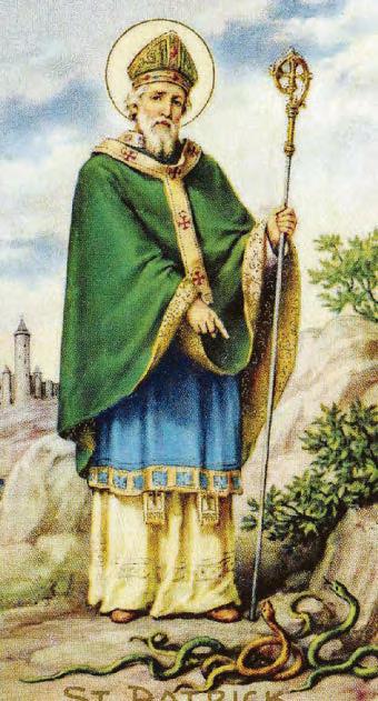 Sham-rocky period for three-leaf clover