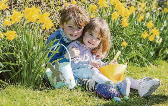 Bunnies bracing for Easter Eggscapade