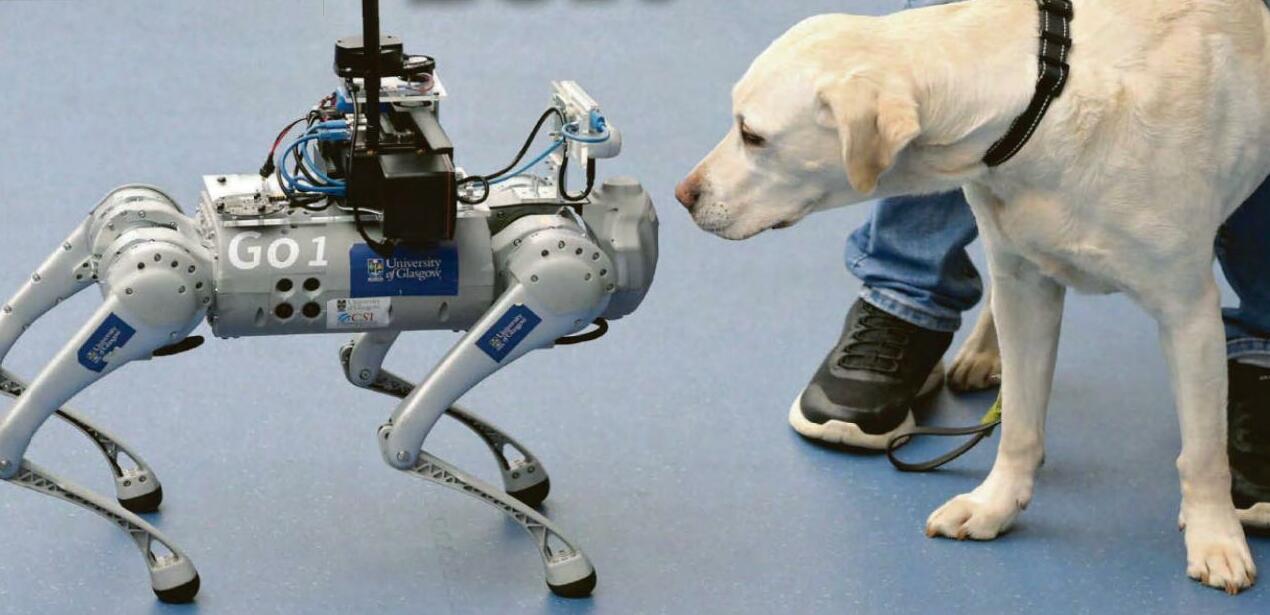 Who's a good bot?