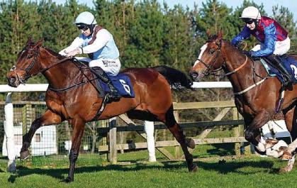 TEAM UP WITH DACE TO DO THE TRICK FOR LADY