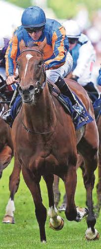 O'Brien is forced to retire Godmother