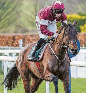 O'LEARY LOOKS ON BRIGHTER' SIDE FOR PUNCHESTOWN