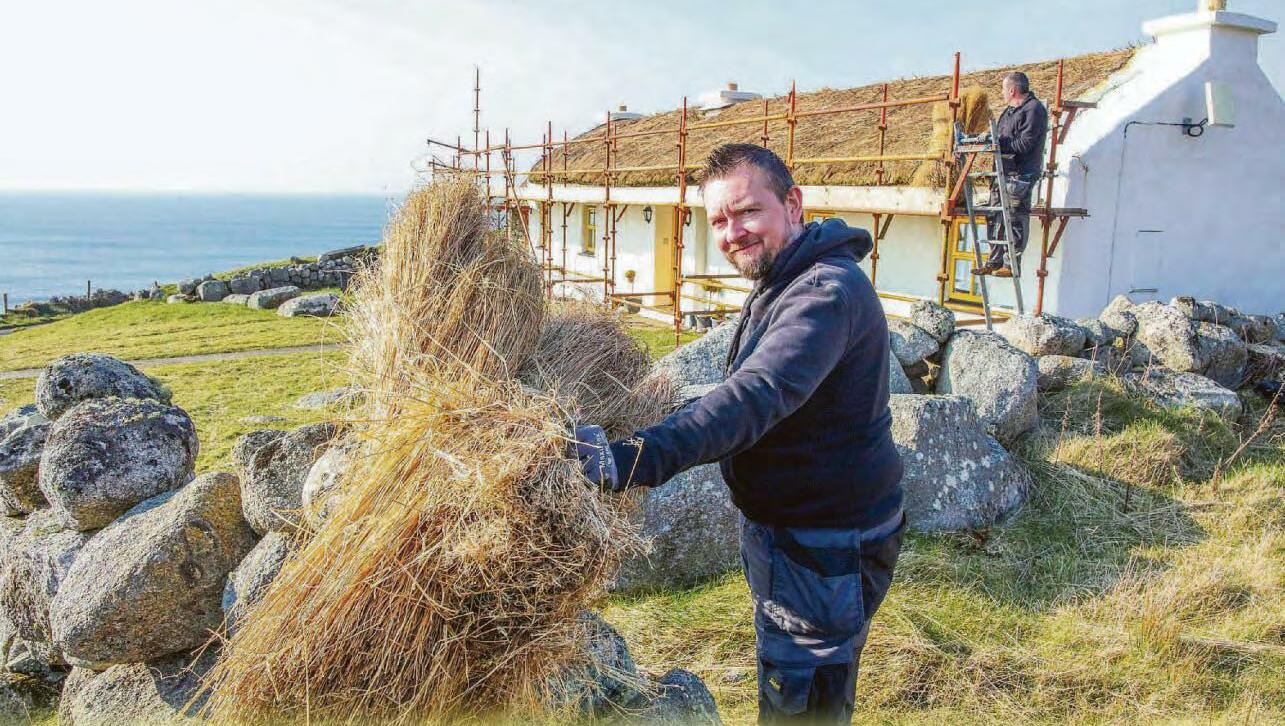 Thatching a plan to save roofs
