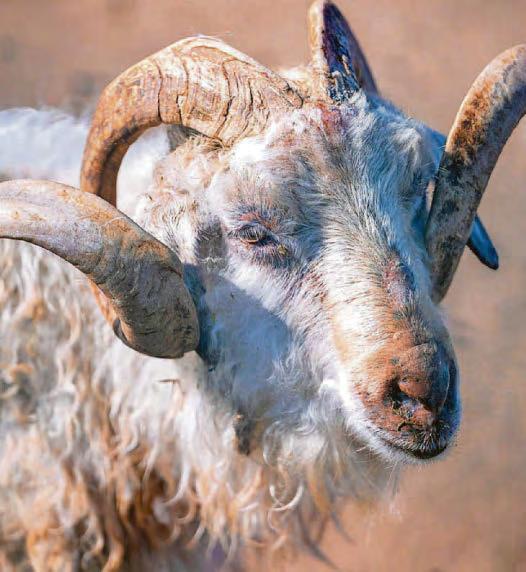 It's OK we goat this..oh, hold on
