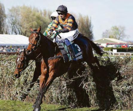 It'll be hard for Willie to top feeling of son's National win