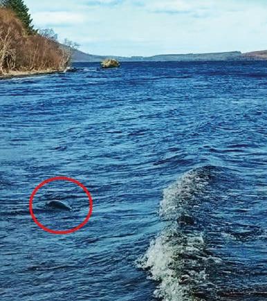 BUBBLE AND EEK FOR NEW NESSIE SNAP