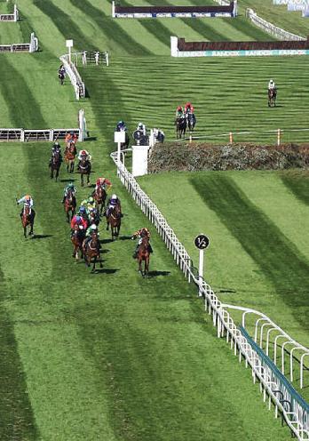 Horse with 'no more to give' dies three days after National collapse