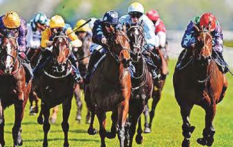 Cox 'scot decision to make after Inca Heights wins debut
