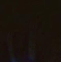 SKIPPER MCCLEAN'S ENJOYING THE RISE