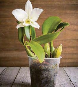 Doctor's guidance on raising sensitive youngsters